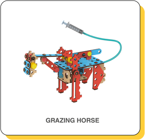 Grazing Horse